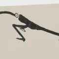 地洞 卡夫卡